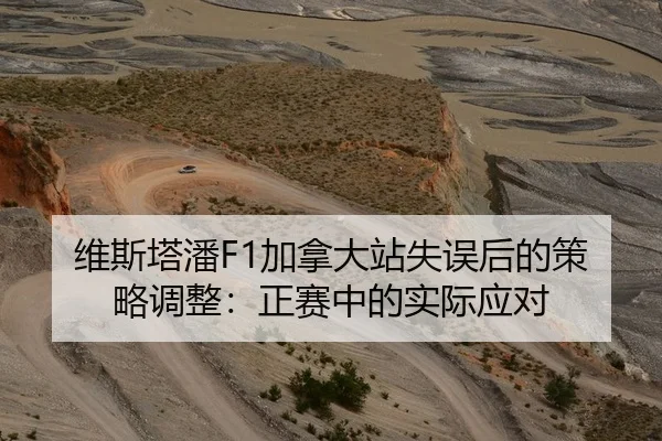 维斯塔潘F1加拿大站失误后的策略调整：正赛中的实际应对