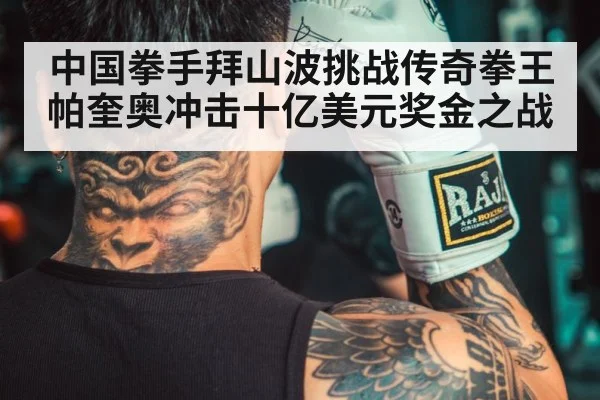 Chinese boxer training